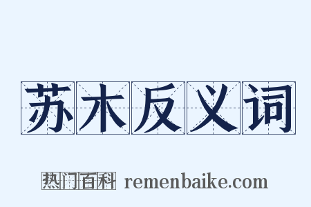 苏木反义词是什么意思的图片